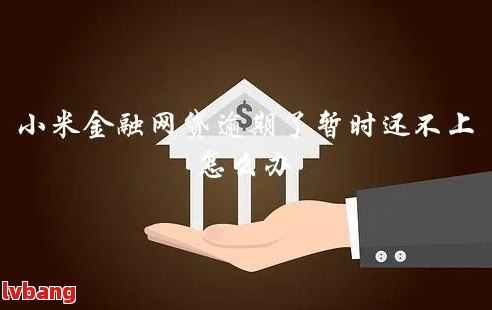 小米金融停催原因分析及解决方法