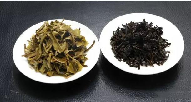 普洱茶的味道：苦涩还是醇厚？揭秘其独特的风味特征