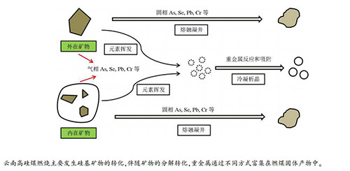 新煤玉石化过程中的彻底性及其影响因素分析