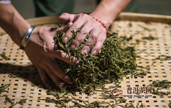 茶叶加工的秘密：探索如何将绿茶变身红茶的神奇工艺