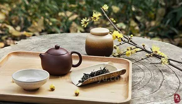 探究红茶叶制作的奥秘：从选茶到烘焙，一步步详解制茶工艺