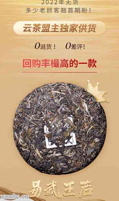 薄荷塘普洱茶生茶价格2023-2025:云南薄荷糖茶业报价