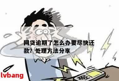 欠了网贷即将逾期怎么办