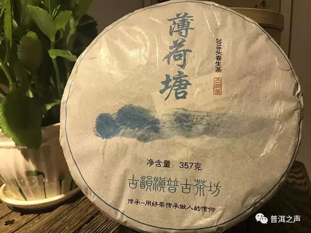 薄荷塘普洱茶生茶：品种特点、制作工艺、品饮方法及购买指南一应俱全