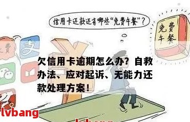 欠信用卡六百万无力偿还怎么办