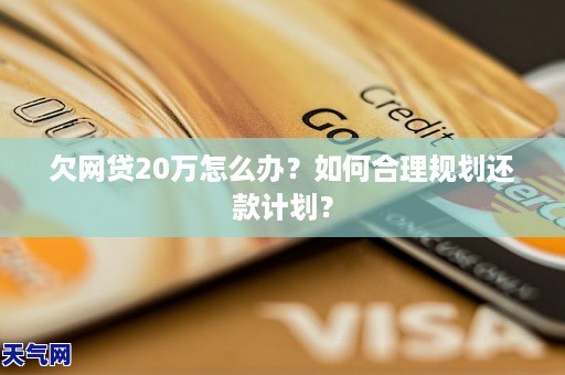 欠网贷20万会怎样解决