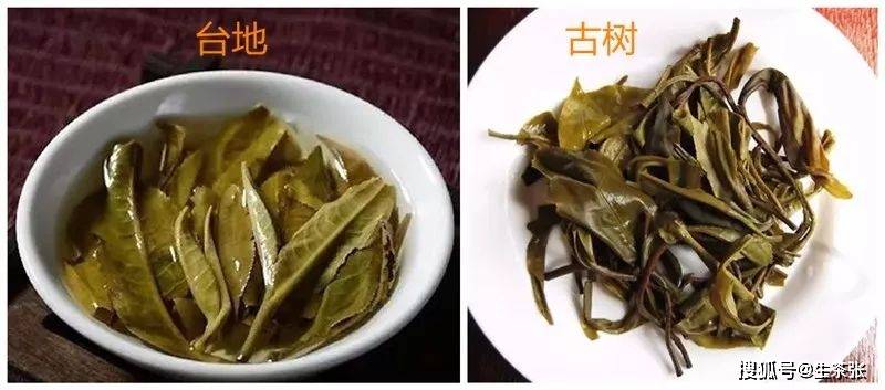 台地茶与普洱茶：香味对比及选择建议，让你全面了解两种茶叶的香气特点