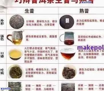 普洱茶型号全面解析：从入门级到顶级收藏品，一篇解决你所有疑问！