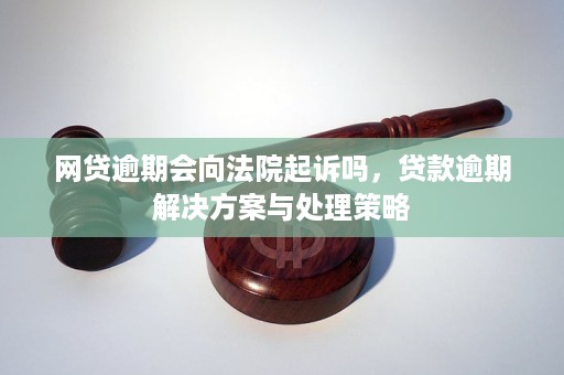 逾期被法院起诉开庭怎么办应对策略