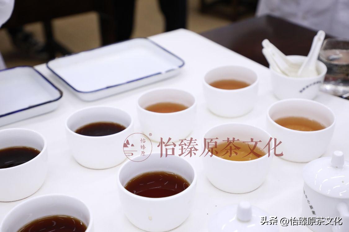 如何减轻普洱茶涩味？了解影响因素与改善方法