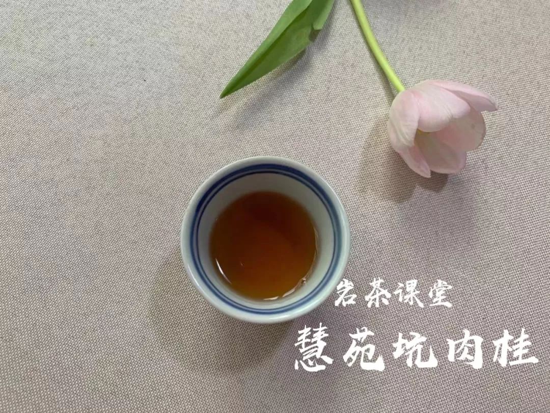 普洱茶香气的深层含义与影响：探索茶香背后的科学原理和品饮技巧