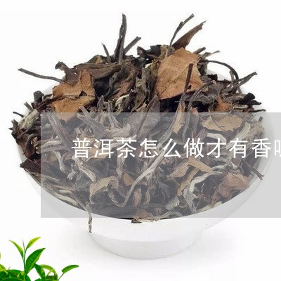 普洱茶的香味是什么意思