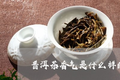 普洱茶的香味是什么意思