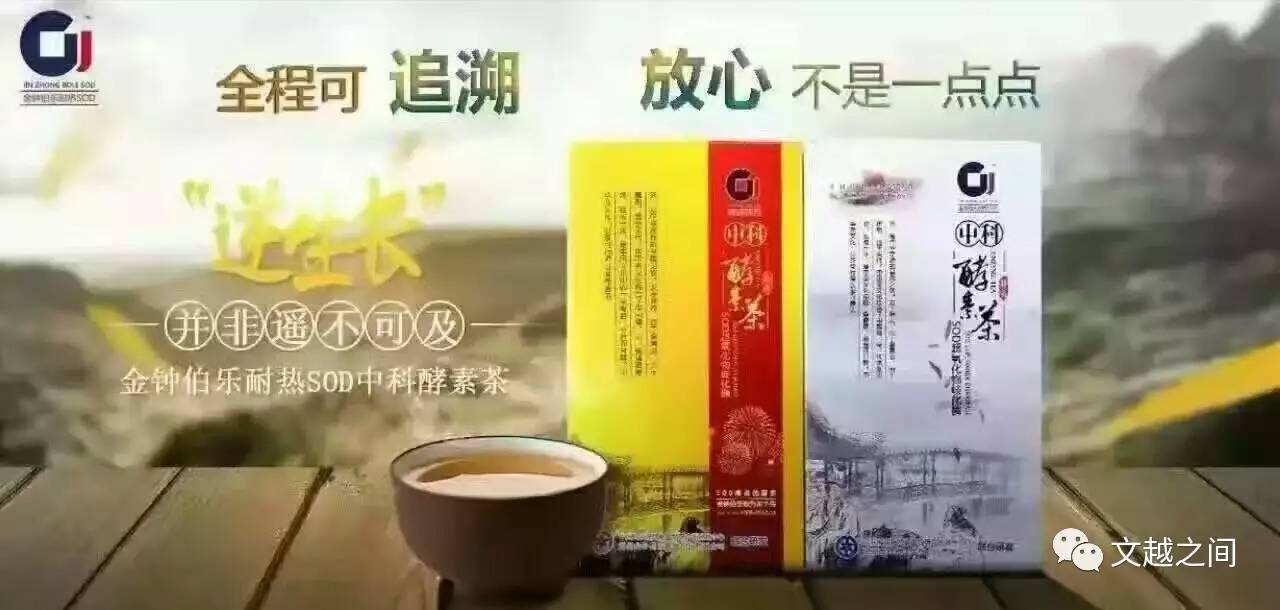 身体虚弱调理茶谱：哪些茶叶有助于恢复体力？