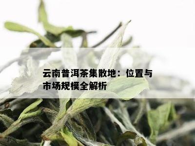 云南普洱茶市场位置查询 | 寻找中国茶叶之都的途径