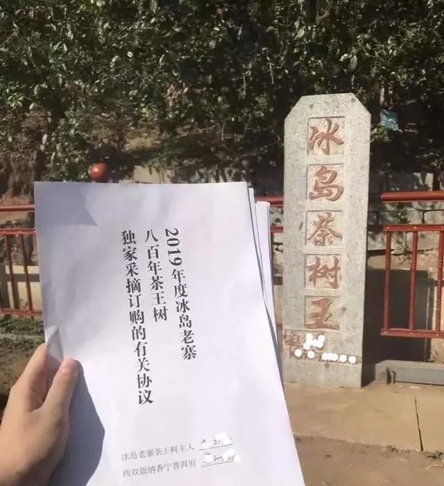 普洱茶：虚假繁荣背后的真相与启示