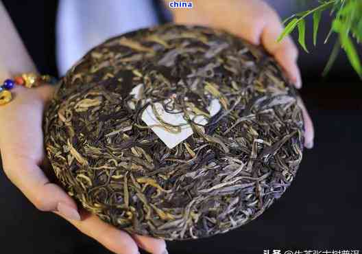 大福普洱茶等级划分：从优质到珍稀，一文详解各类茶叶的特点与价值