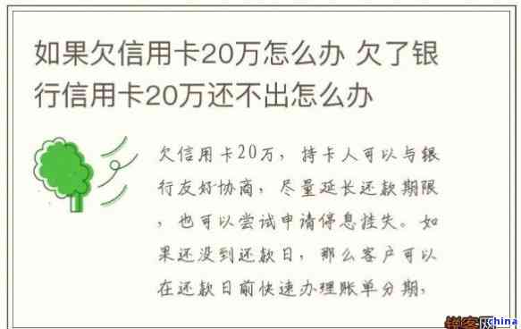 名下信用卡欠款20万如何处理