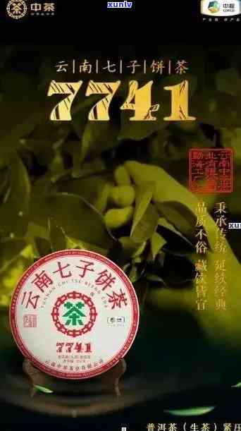 云南牌七子饼茶全方位价格及详细信息解析，了解这款特色茶的途径