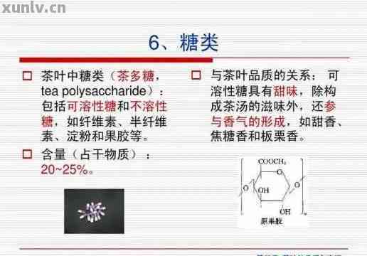 普洱茶糖苷酶的重要性是什么