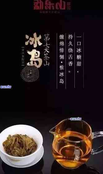 普洱茶冰岛的醇厚口感：探索神秘的冰岛熟茶魅力