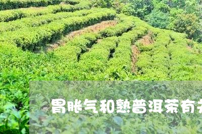 胃反酸胀气能喝普洱茶吗