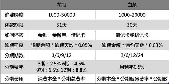 如何看白条逾期费用每天多少