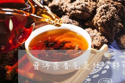 普洱茶是什么香味的