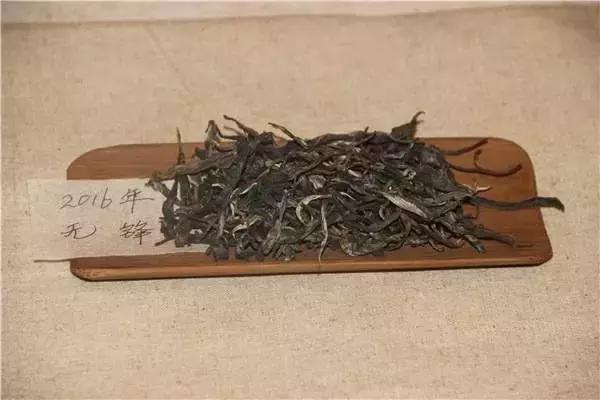 如何轻松取出普洱茶饼：步骤与技巧详解