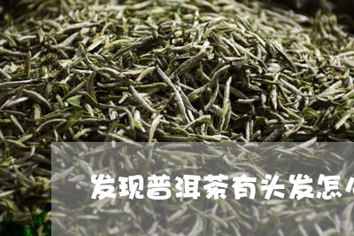 普洱茶怎样拔头发