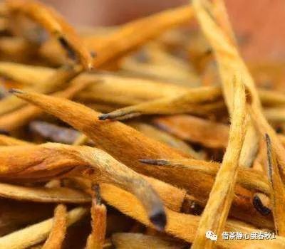 大金针滇红茶是什么树种？口感、功效、作用与价格一览！