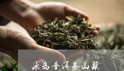 冰岛山头茶价格多少