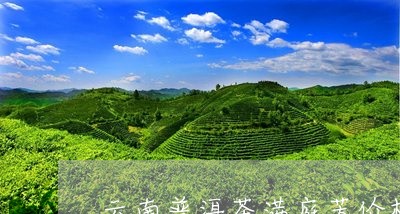 满庭芳普洱茶礼盒价格，包含满庭芳茶叶多少钱。