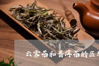 普洱茶与云雾茶：它们之间的区别与相似点，如何选择适合自己的茶叶？