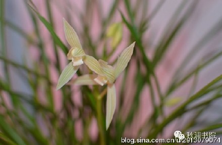 天方茶业产品介绍及价格：了解我们的茶叶系列。