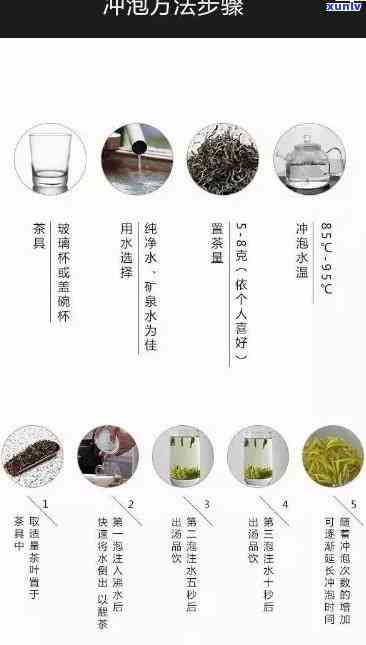 保国茶中茶：品种、功效、泡法与品鉴全方位解析