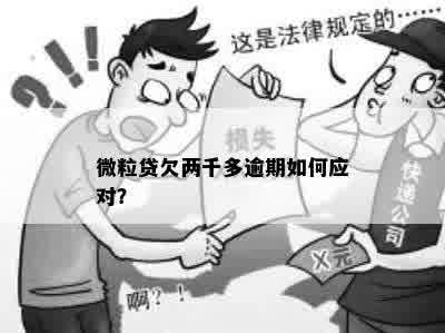 逾期协商办法该如何解决