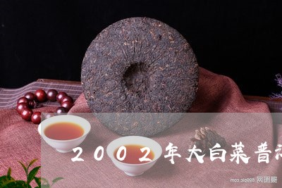 2002年大白菜生普洱茶：一款独特的陈年收藏品