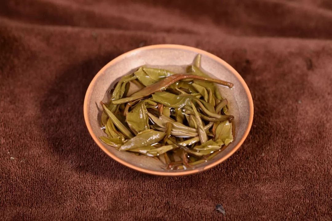 喝云南普洱茶对胃好吗