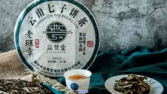 班章与七子饼茶对比：哪个更适合您？全面解析两大名茶的特点与优劣