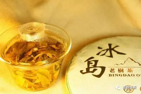 冰岛茶与老白茶：女生们，哪个更好喝一点？