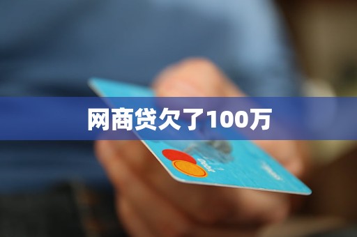 欠消费贷100万