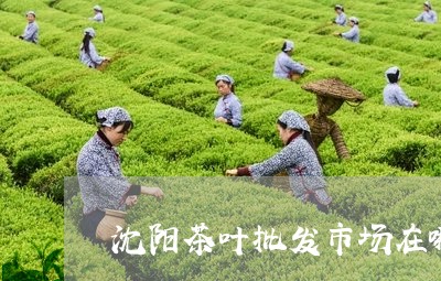 沈阳更大茶叶场在哪里进货？