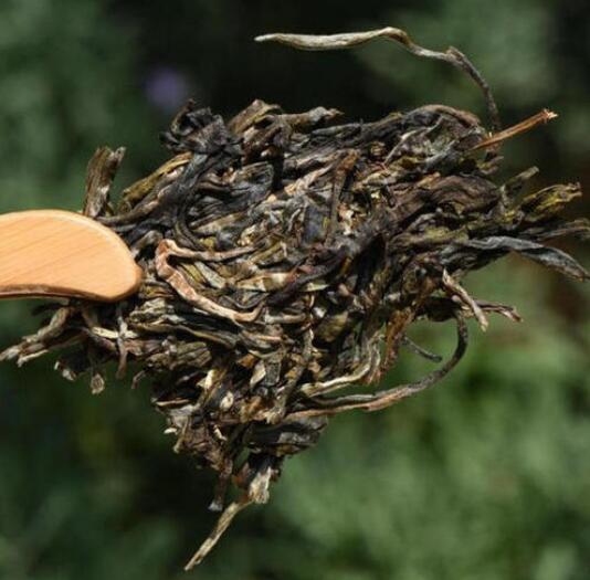 普洱茶：年度产量统计分析与市场趋势探讨