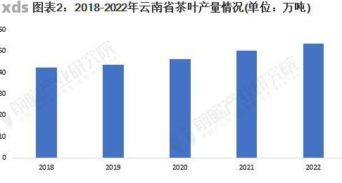 普洱茶一年产量及其相关产值：云南地区年产普洱茶数据概览