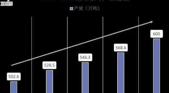 普洱茶产业年度总产值分析：产量、销售额与市场趋势展望