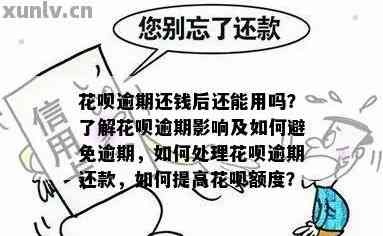 花呗借呗逾期后全部还完需要注意什么事项