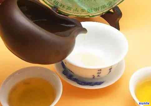 普洱茶的冲泡方法及煮沸可行性：煮茶与冲泡的极对比