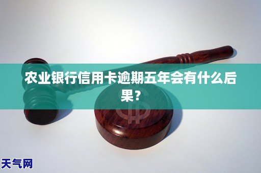 农业信用卡逾期俩年怎么办