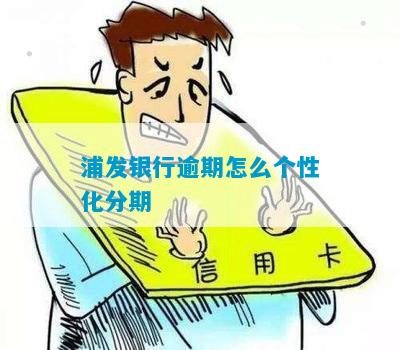 浦东发展银行个性化分期如何申请